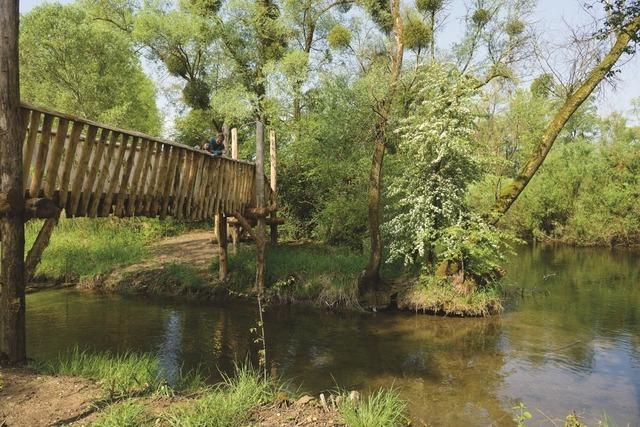 Projektteam stellt Polderplanung im Gemeinderat von Neuried vor