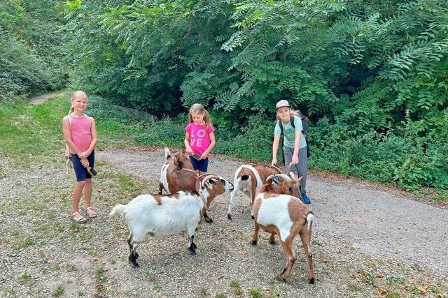 Keine Langeweile fr Kinder in Vogtsburg beim Ferienprogramm