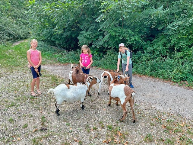 Ein Spaziergang mit Ziegen wird im Ferienprogramm angeboten. | Foto: Sebastian Ehret Ein Spaziergang mit Ziegen wird im Ferienprogramm angeboten. | Foto: Sebastian Ehret