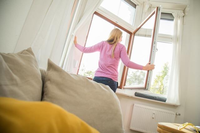 Neue Fenster – des einen Freud, des anderen Leid