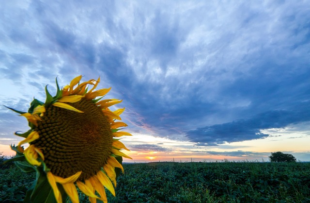 Für das Wochenende wird nach eine...n Samstag Regen erwartet. (Archivbild) | Foto: Thomas Warnack/dpa Für das Wochenende wird nach eine...n Samstag Regen erwartet. (Archivbild) | Foto: Thomas Warnack/dpa