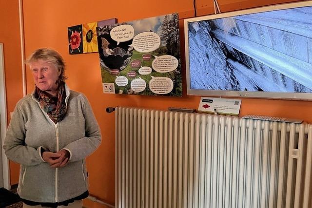 Hauinger Grundschüler haben jetzt Kontakt zu Fledermaus Luna – und 1000 ihrer Artgenossen