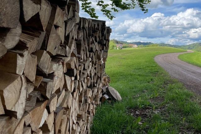In Stegen soll mehr Holz geschlagen werden, damit sich der Wald verjngt