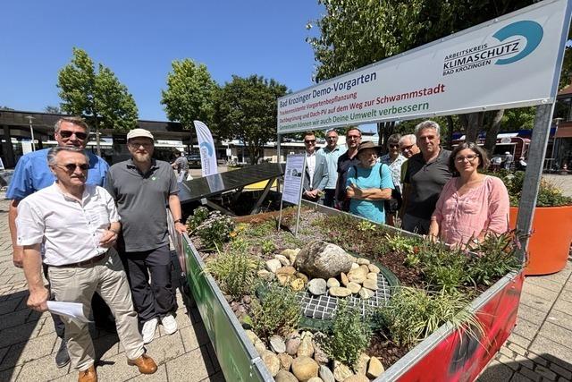 Wie man rund ums eigene Haus Wasser speichern und Stromkosten sparen kann