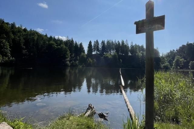 Mit dem Rufbus L-Go geht’s im Kleinen Wiesental auch zum Nonnenmattweiher