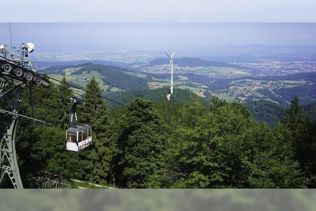 Rollern und rtseln am Berg