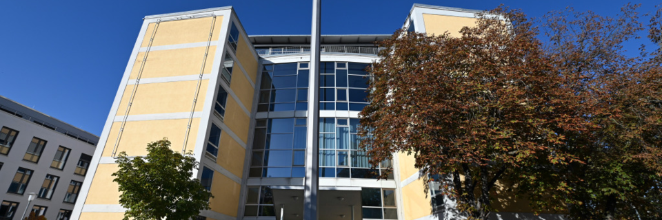 Plagiatsfall an der Universitt Freiburg: Betreuer schreibt von Student ab