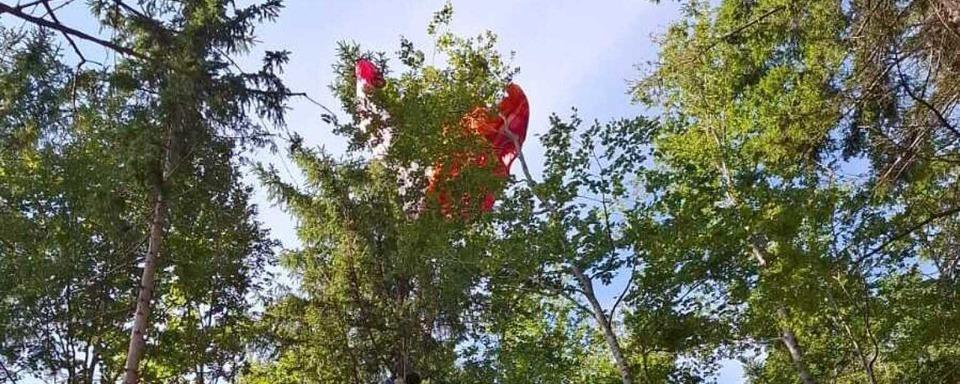 Gleitschirmflieger landet in Baum am Schauinsland - und muss aus rund 18 Meter Hhe gerettet werden