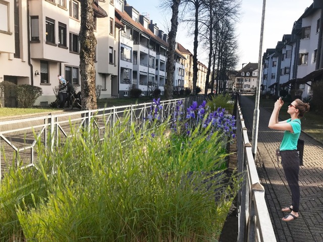 So sollte es laut Visualisierung aussehen.  | Foto: Stadt Schopfheim