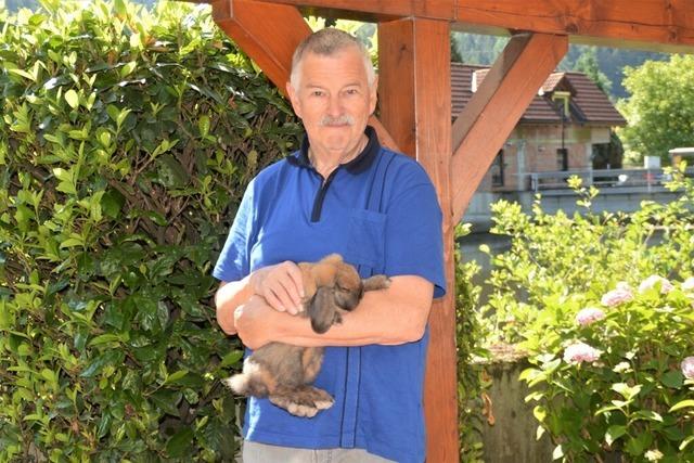 Kleintierzuchtverein Zell steht nach 114 Jahren vor der Auflösung