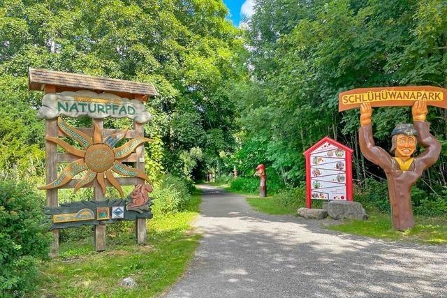 Fantasievolle Figuren werden in Grafenhausen mit der Kettensge gestaltet