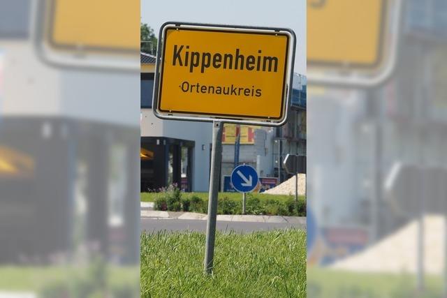 Brgerinitiative  wirbt  bei der Gemeinderatssitzung in  Lahr fr die Kreisstrae