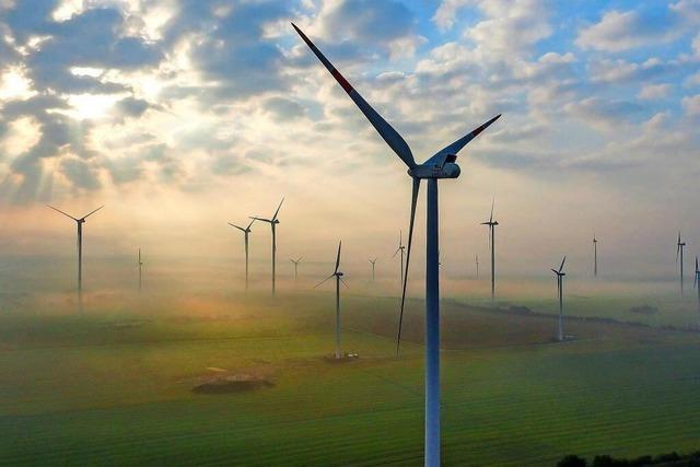 Windbranche warnt Bund vor Irrwegen