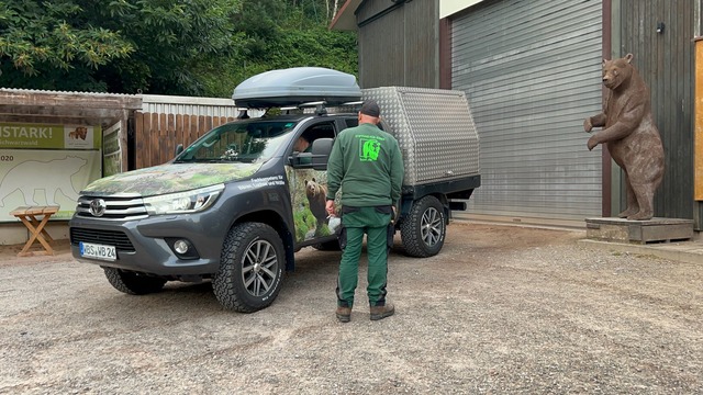 Die Wildb&auml;rin Gaia ist im Alterna...uml;renpark angekommen. (Foto-Handout)  | Foto: --/Stiftung f&uuml;r B&auml;ren/SfB/dpa