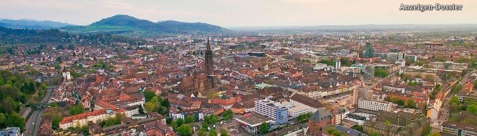 Der Immobilienmakler in Freiburg