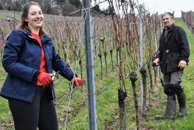 Weinzauber in Gundelfingen: Miriam Kaltenbach �ber die Arbeit im Weinberg