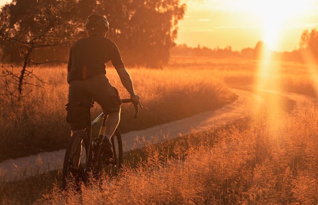 Der Herbst bietet nicht nur ein besond...m Gravel Bike durch Wlder und Felder.  | Foto: Chinart (stock.adobe.com)