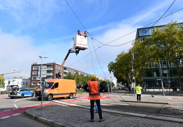   | Foto: RITA EGGSTEIN