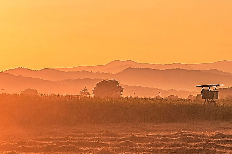 Foto: Marion Furtwängler-Fritz