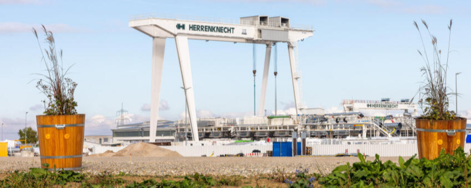 Martin Herrenknecht und der Kampf gegen Blumenk�bel in Schwanau