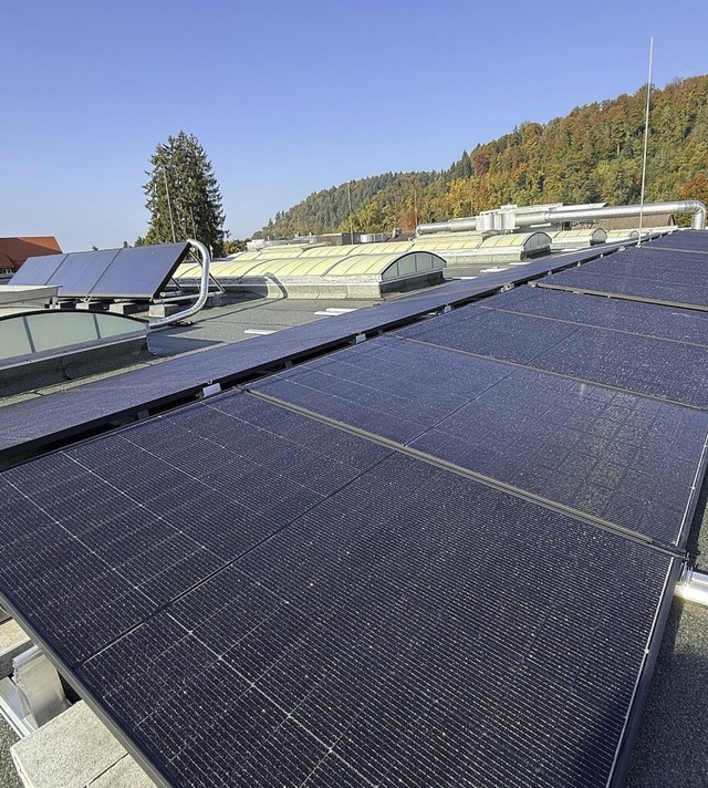   | Foto: Stadt Schopfheim