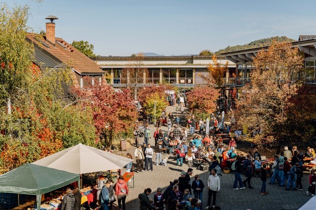 Das Gelände der Waldorfschule Lörrach wurde eine bunte Festmeile.  | Foto: Benjamin Bergen Das Gelände der Waldorfschule Lörrach wurde eine bunte Festmeile.  | Foto: Benjamin Bergen