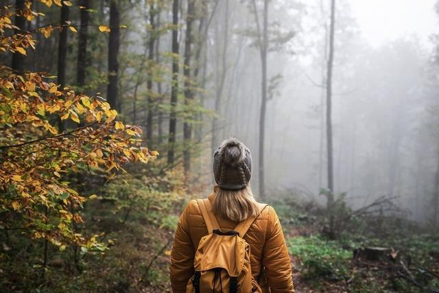 Auf schlpfrigen Pfaden – was man bei Wanderungen im Herbst beachten sollte