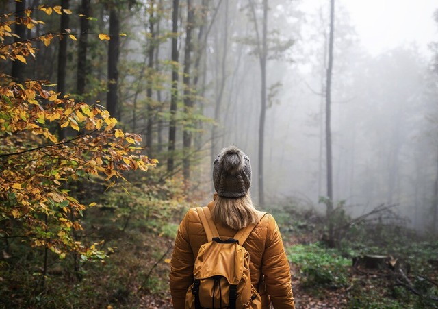 Beim Wandern im Wald können sich im He...sollte man immer eine Lampe einpacken. | Foto: encierro (stock.adobe.com) Beim Wandern im Wald können sich im He...sollte man immer eine Lampe einpacken. | Foto: encierro (stock.adobe.com)