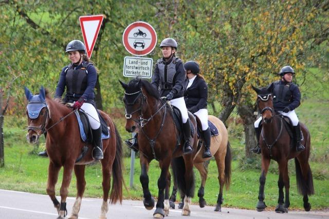 Tradition, Natur, Geselligkeit: Der Herbstritt in Mnchweier ist ein Event fr Pferdefreunde