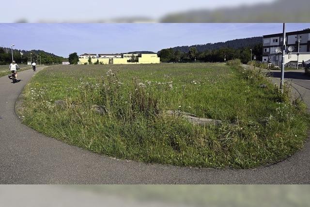 Welchen Sinn haben Informationsveranstaltungen?