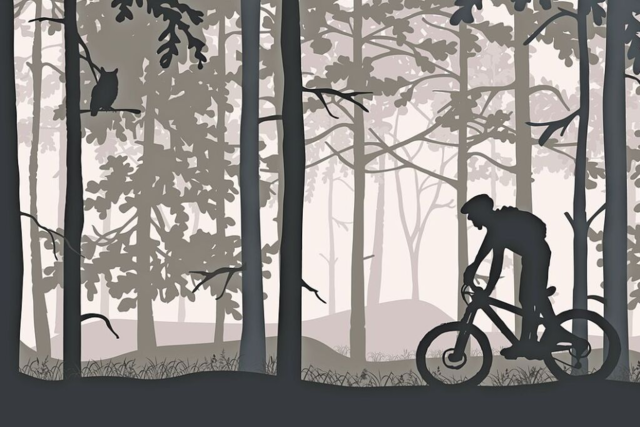 Deal fr den Winter: Mountainbikes zu Sonderpreisen bei Bike Sport World