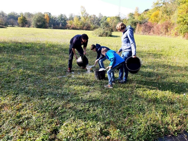 Die Aktion fand im Rahmen des Erlebnis...ojekte in unserer Region“ statt.  | Foto: Truz Die Aktion fand im Rahmen des Erlebnis...ojekte in unserer Region“ statt.  | Foto: Truz