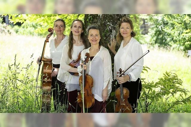 Am Freitag, 31. Oktober, und Samstag, 1. November, gibt das Faust Quartett anlässlich des Schubert Festivals Konzerte im Kur- und Feststpielhaus Badenweiler. Am Freitag, 31. Oktober, und Samstag, 1. November, gibt das Faust Quartett anlässlich des Schubert Festivals Konzerte im Kur- und Feststpielhaus Badenweiler.