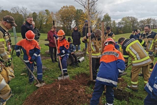 Jugend der Krnberger Feuerwehr pflanzt 112 Bume