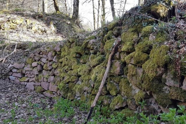Ein Professor aus Edinburgh begibt sich auf die Spur der Burgherren aus dem Wiesental Ein Professor aus Edinburgh begibt sich auf die Spur der Burgherren aus dem Wiesental