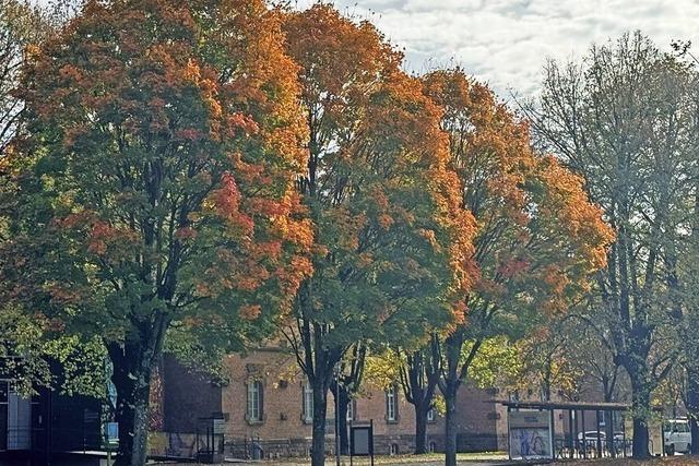 Der goldene Monat geht diese Woche zu Ende