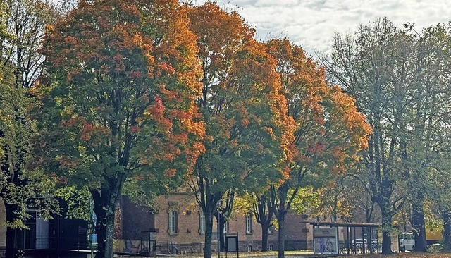 | Foto: Sven Meyer   | Foto: Sven Meyer