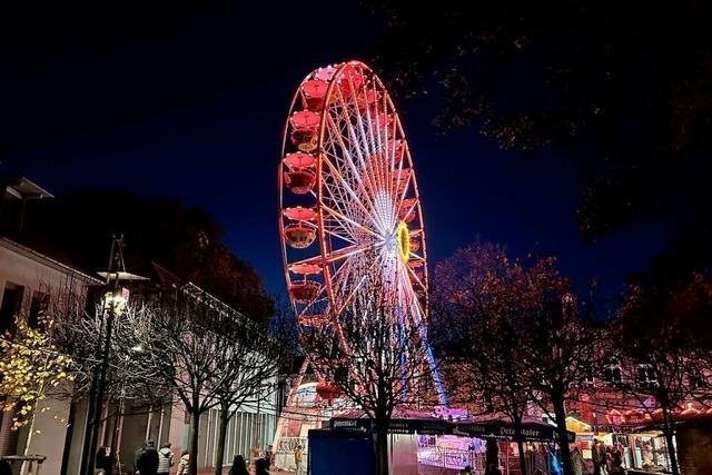 Die Chrysanthema kann in der Lahrer Spardebatte nicht außen vor bleiben Die Chrysanthema kann in der Lahrer Spardebatte nicht außen vor bleiben