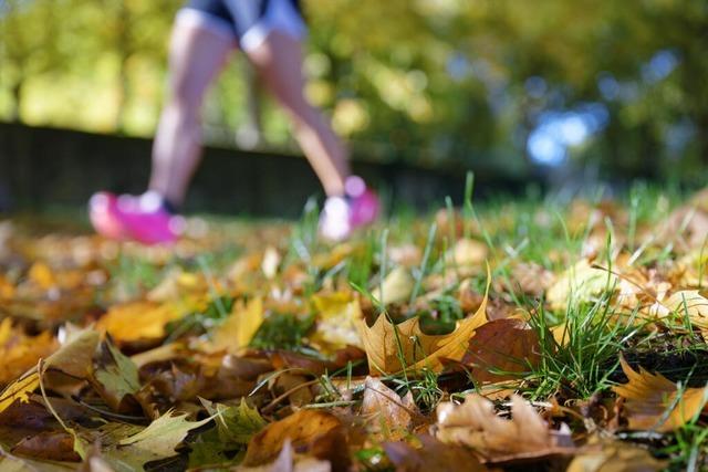 Der Mittwoch wird in Baden-Württemberg freundlich – und dann? Der Mittwoch wird in Baden-Württemberg freundlich – und dann?