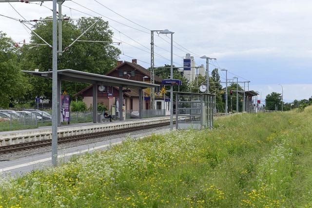 Baum im Gleis in Freiburg-Littenweiler sorgt für Verspätungen und Zugausfälle Baum im Gleis in Freiburg-Littenweiler sorgt für Verspätungen und Zugausfälle