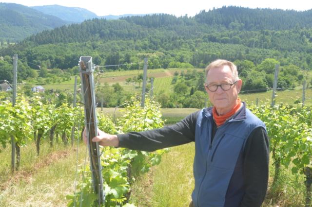 Bio-Winzer Pix aus Ihringen stellt nach 40 Jahren den Betrieb ein