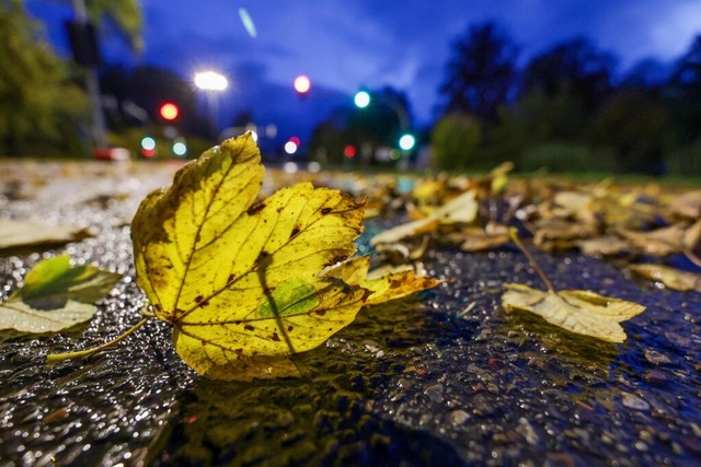 Herbstlaub auf den Straen birgt Rutsch- und Unfallgefahr.  | Foto: Thomas Warnack (dpa)