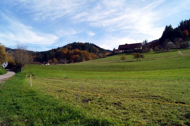 Malsburg bereitet elf neue Baupltze vor