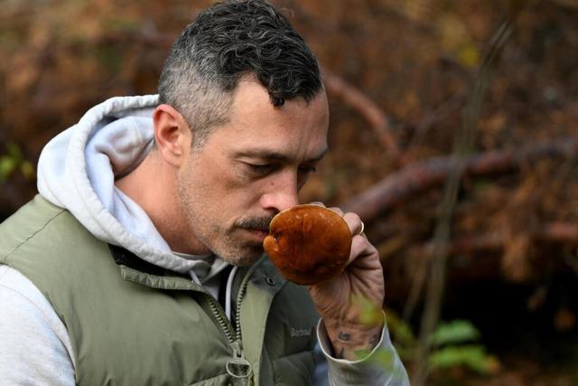 Pilz-Influencer sieht den Wald als eine "bullshitfreie Zone" Pilz-Influencer sieht den Wald als eine "bullshitfreie Zone"