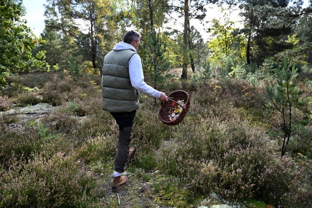 Der Pilz-Influencer lieben die Ruhe.  | Foto: Lilli Förter (dpa) Der Pilz-Influencer lieben die Ruhe.  | Foto: Lilli Förter (dpa)