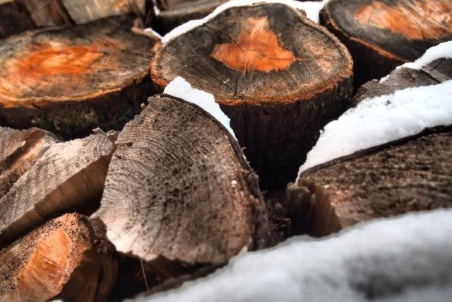 Forstdirektor stellt St. Mrgen Strategie zur Klimawandel-Anpassung im Gemeindewald vor