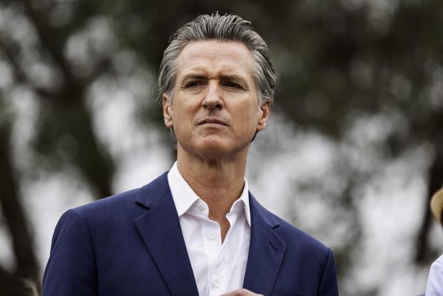 Gavin Newsom, Anfhrer des Widerstands