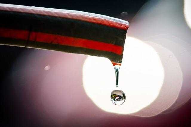 Wird das Grundwasser knapp? Was eine Studie im Kreis Breisgau-Hochschwarzwald dazu sagt