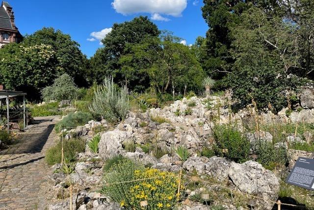 Künstlerin Bea von Malchus über ihr perfektes Wochenende: "Espresso mit Zimt und Zitronenwasser" Künstlerin Bea von Malchus über ihr perfektes Wochenende: "Espresso mit Zimt und Zitronenwasser"