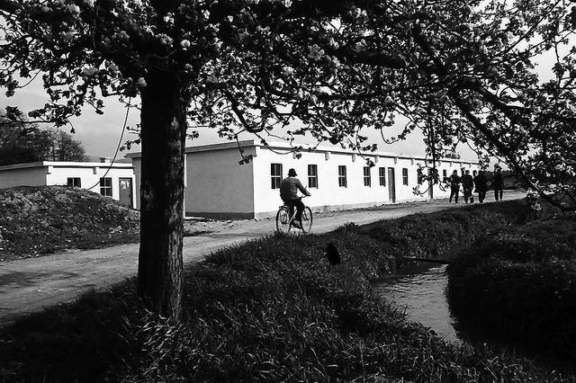 Erste Sinti-Siedlung in Freiburg: Familien lebten in schimmligen Baracken